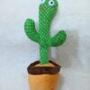 Talking and Dancing Cactus